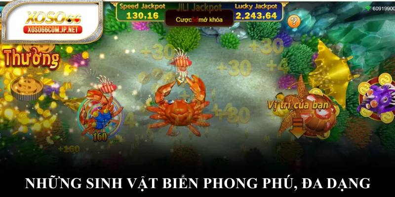 Những sinh vật biển phong phú, đa dạng