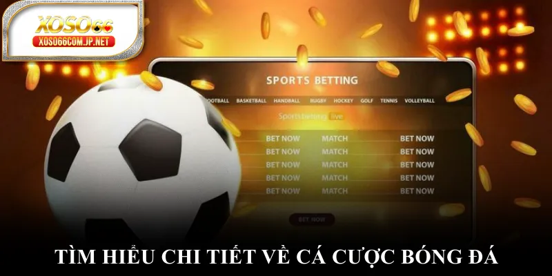 Tìm hiểu chi tiết về cá cược bóng đá